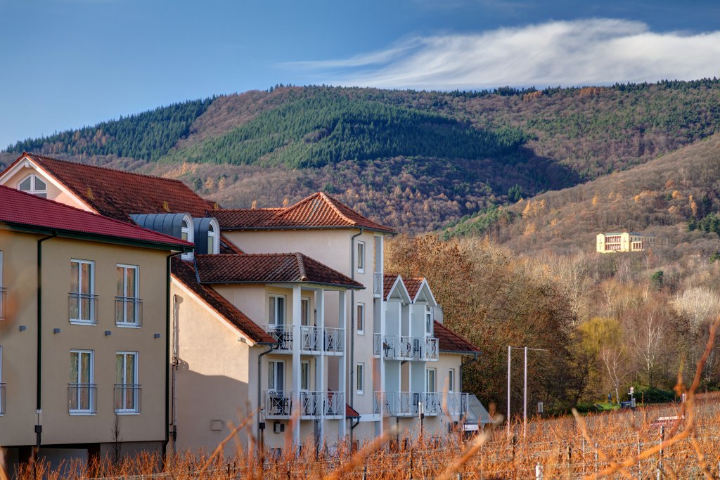 Über das Hotel DAS PRINZREGENT in Edenkoben - Hotel Prinzregent und